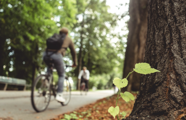 Rutas ecológicas poco conocidas en Colombia